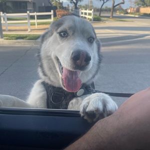 Meet your Posher, Alberto